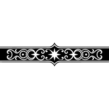 Elegant Black and White Ornamental Border - ,-.. vector