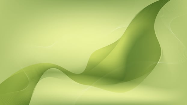 minimalist green fluid with wave gradient colorful background vector