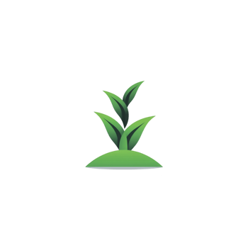 Small green plant with three leaves growing from mound of soil, symbolizing growth and nature. simple design is set against transparent background png