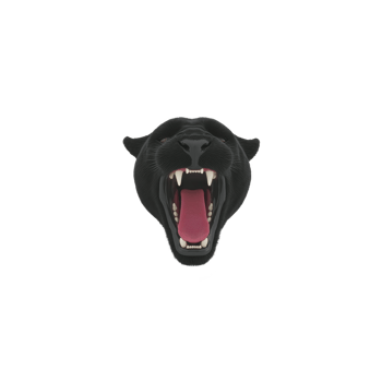 Fierce black panther head with open mouth, showing sharp teeth and pink tongue, set against plain background. image conveys power and intensity png