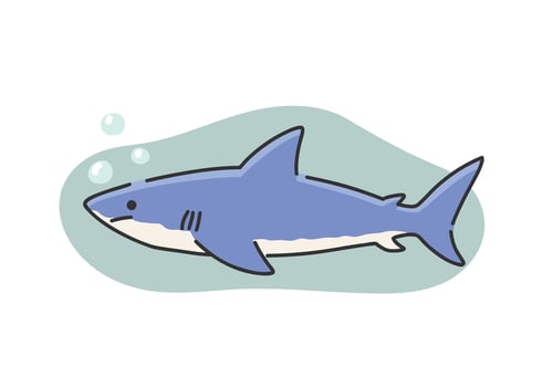 illustration of shark on white background, flat style. vector