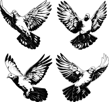 Four Doves Flying Formation Black White Line Art Birds vector