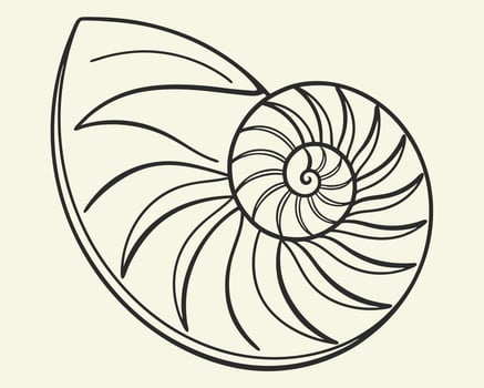 Elegant black and white illustration of a nautilus shell in a minimalist graphic style vector