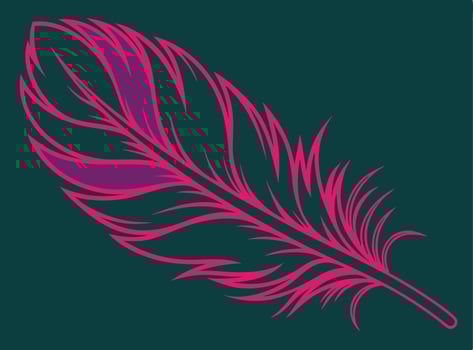 Decorative illustration of a stylized feather in bright pink and purple with a dark teal background vector