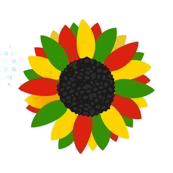 Red Yellow Green and Black Sunflower Bloom Celebrating Black History Month and Juneteenth vector