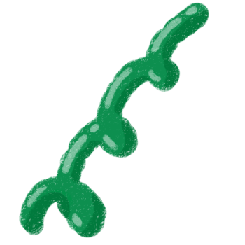 Cute Green Curved Leaf Doodle Element in Crayon Style png