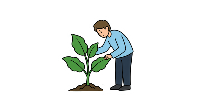 Simple Illustration of Person Tending to a Growing Plant png