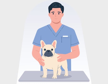Veterinary clinic, healthcare service or medical center for domestic animals vector