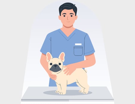veterinarian examining dog vector
