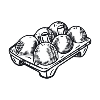 Packaging of chicken eggs, cell with eggs. All objects are hand-drawn in , illustration is suitable for printing on packaging of goods, food, decoration of farm shops vector