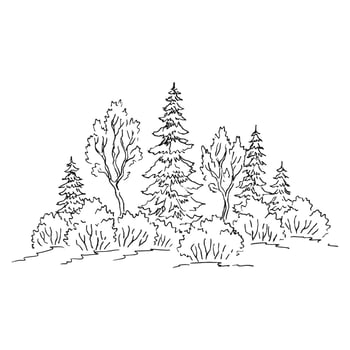 Nature landscape with forest. Hand drawn illustration. vector