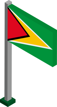 Guyana Flag in Isometric dimension. png