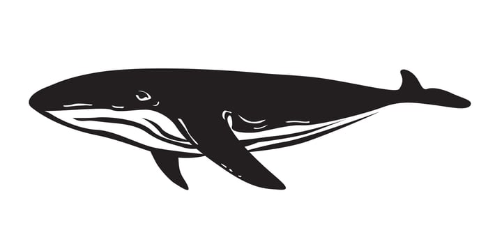 humpback whale silhouette design. big fish symbol. vector