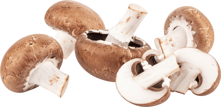 Fresh brown cremini mushrooms whole and neatly sliced fungi displaying caps stems and gills Isolated png