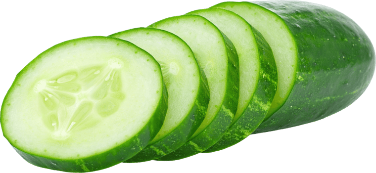 Vibrant green cucumber partially sliced into multiple uniform circular pieces transparent background png