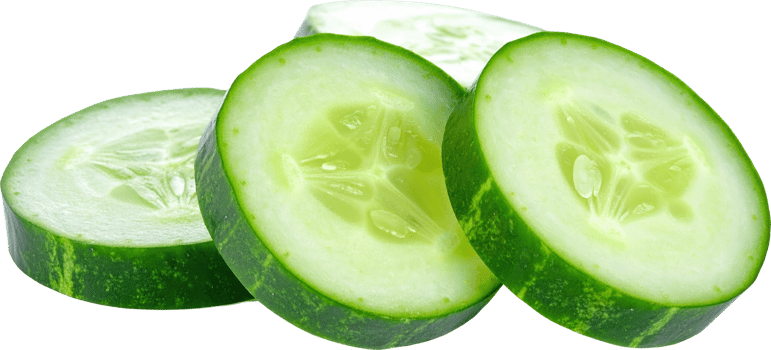 Close up view of multiple freshly cut green cucumber slices with distinct textures png