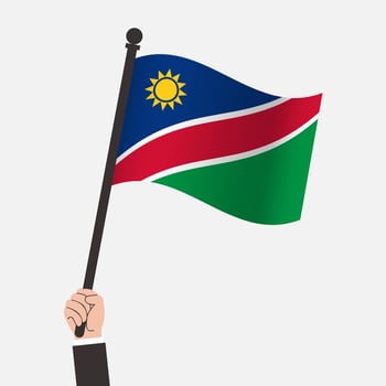 Hand Holding Namibia Waving Flag vector