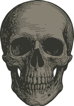 Artistic skull illustration vector