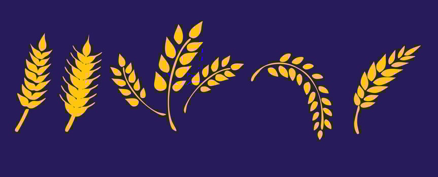 Wheat Illustration with Natural Tones and Organic Details for Farming and Healthy Food Themes vector