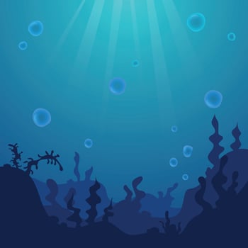 Summer time text with underwater ocean landscape. Silhouette of algae and reefs. Seabed background with ocean flora, corals and bubbles. vector