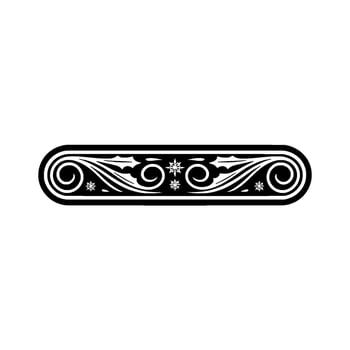 Elegant Black and White Decorative Border with Swirls and Snowflake Motifs vector