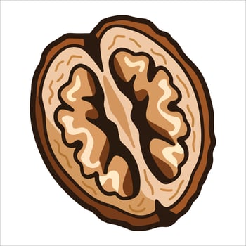 Half walnut with shell illustration cartoon flat design. Isolated on white background, ideal for food blogs and organic product labels. vector