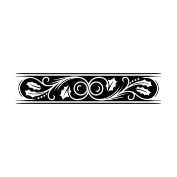 Elegant Black White, Floral Border vector