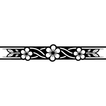 Elegant Black White Floral Border on White Backdrop vector