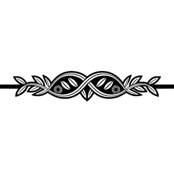 Elegant Black- and White Ornamental Border vector