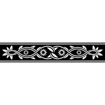 Elegant Black and White Floral, Border. vector