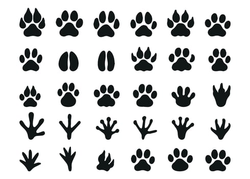 Big set with animals footprint in black color. Paw trace in different shape. illustration vector