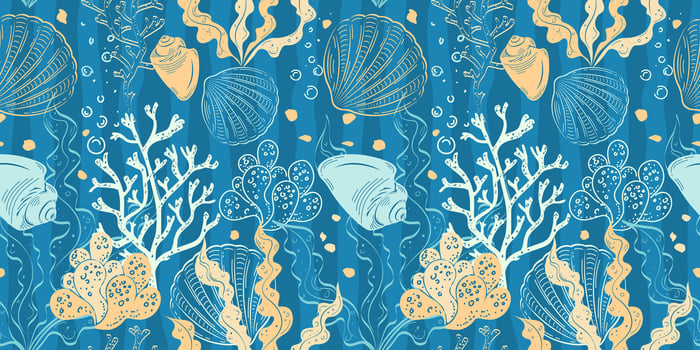 Seashell and coral pattern design vector