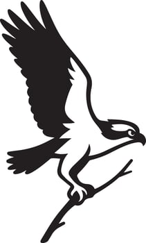 Powerful osprey in flight holding prey, Predator bird flying with fish vector