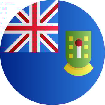 Flag of British Virgin Islands Glyph vector