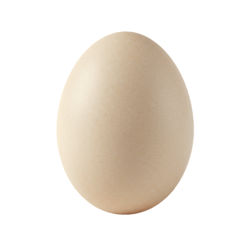 Single Beige Egg Isolated on Transparent Background png