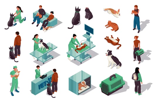 Veterinary actions with pets and owners vector