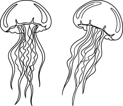Two Jellyfish Line Art Illustration of Marine Creatures in Black Style vector