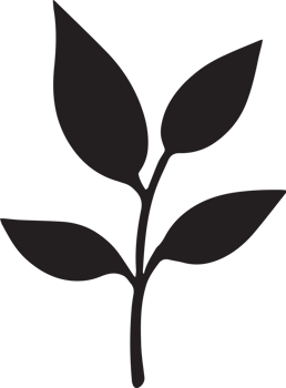 Plant leaf botanical foliage icon png