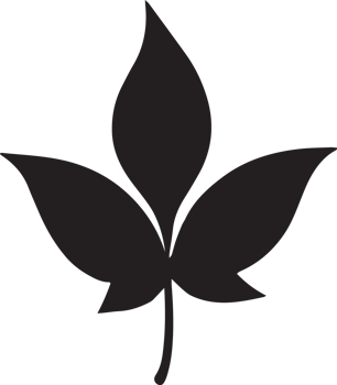Plants leaf botanical foliage object png