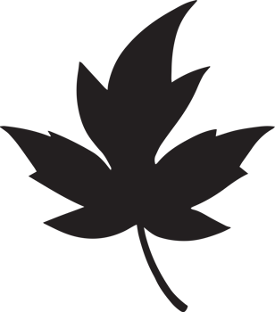 Simple plant leaf botanical foliage icon png