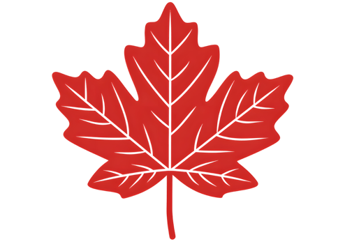 Stylized single red maple leaf icon with a transparent background in format. png