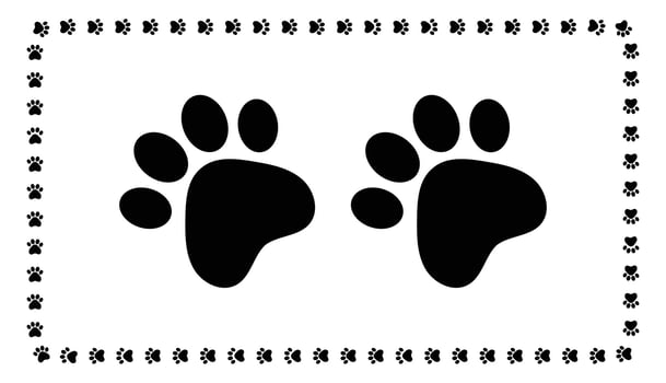 Cute Pets Paw Print Square Frames for Design. Cat or Dog Paw Prints Border on White Background. vector