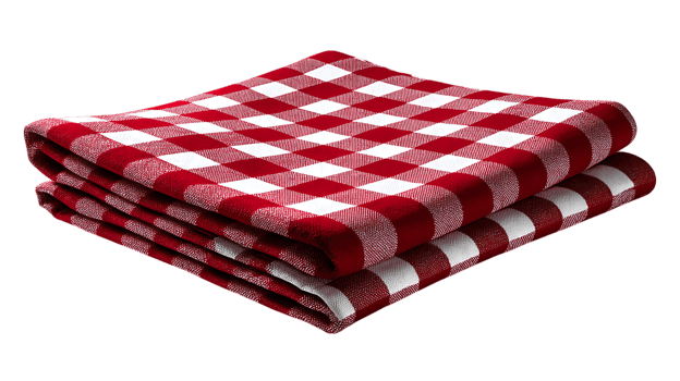 Folded red white gingham tablecloth isolated on transparent background png