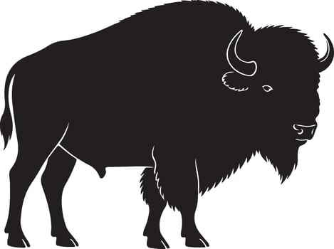 Bison solid black silhouette vector