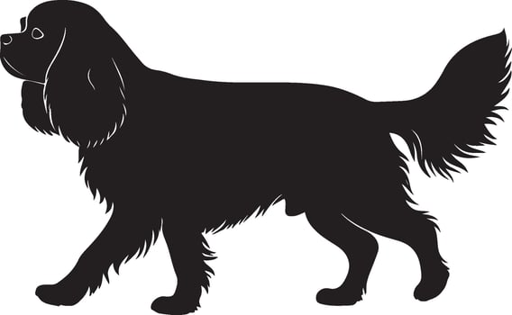 Cavalier King Charles Spaniel solid black silhouette vector