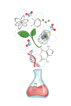 Blank for a postcard flask with red liquid from which a plant, cell, chemical formulas fly out. Watercolor illustration hand-drawn, cartoon. Drawing for a sticker, poster. science, school, laboratory png