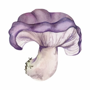 Russula webcap cortinarius mushroom fungus, vegan cooking edible raw ingredient, autumn forest harvest. Single element hand drawn in watercolor. Identification cards, seasonal planner stickers, menu vector