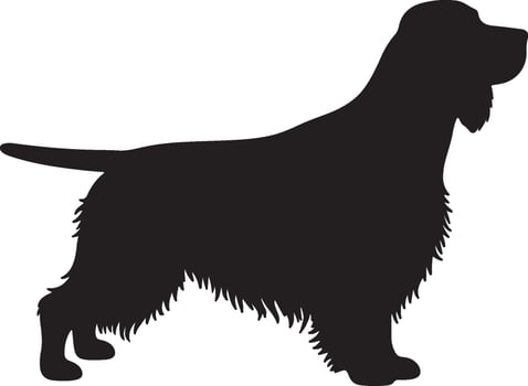 Field Spaniel solid black silhouette vector