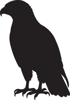 Ferruginous Hawk solid black silhouette vector