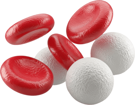 Red and white blood cells floating, microscopic view of human blood components png